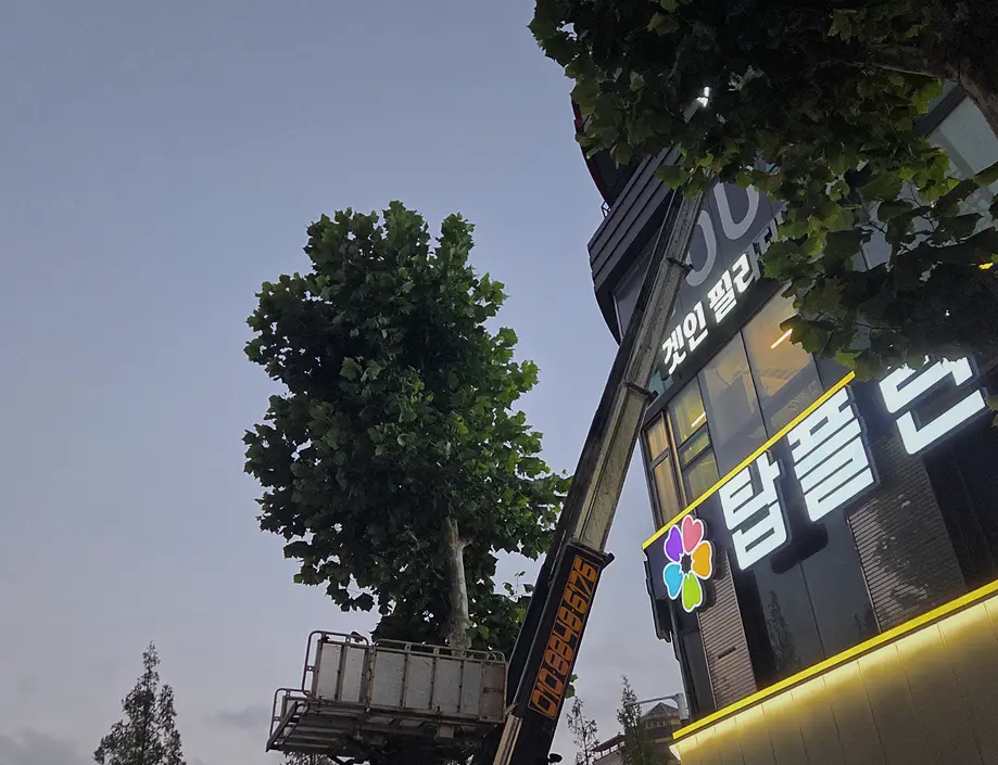 부천 원미구 빌라 인테리어 폐기물 사업장·사무실 폐기물